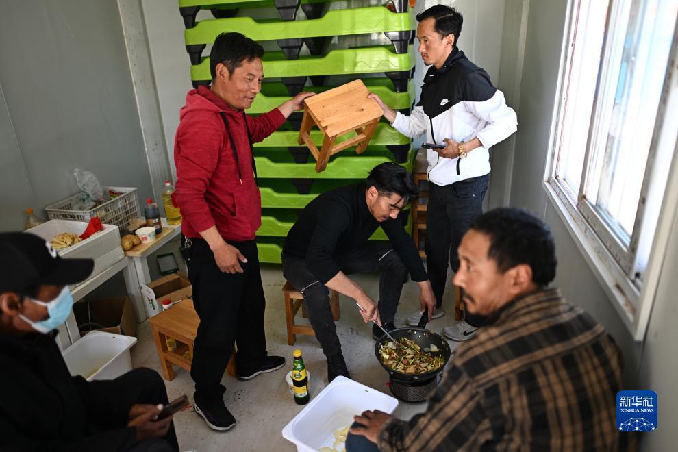 富狗棋牌二维码